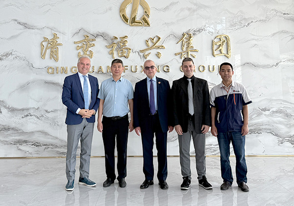 Handemo regional partner support
